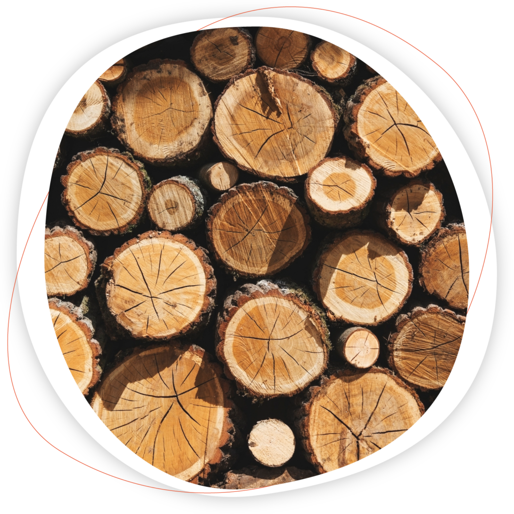 Notre savoir-faire : Bois de chauffage