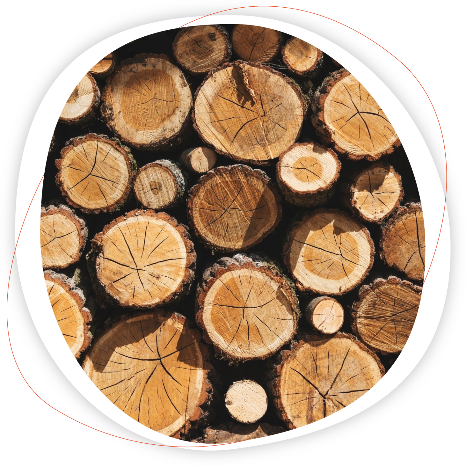 Notre savoir-faire : Bois de chauffage